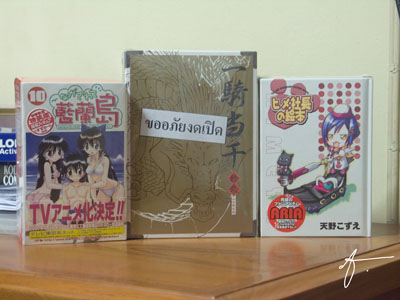 Ikkitousen vol.12, Aria cat president picture book and Nagasarete Airantou vol.10 boxes